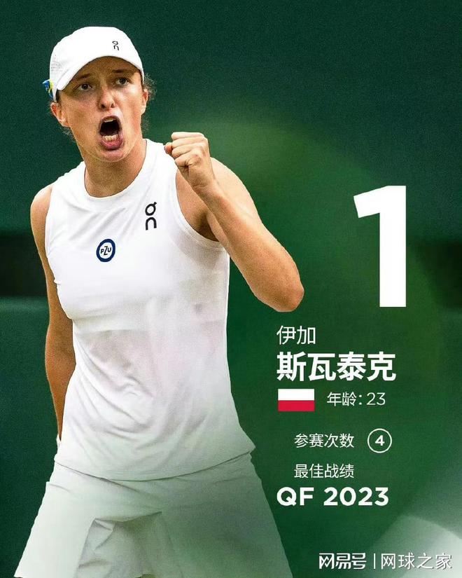 人实力的极 人实力的极