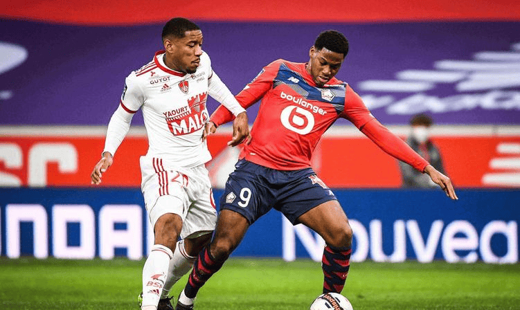 的发动机 的发动机